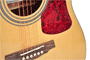 Pyle - PGA44 , Musical Instruments , String & Wind Instruments , Professional Full Size Acoustic 6 String Guitar w/ Spruce Top