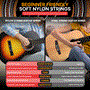 Pyle - PGACLS82CBS.X9 , Musical Instruments , 36