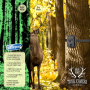 Pyle - PHTCM48 , Gadgets and Handheld , Cameras - Videocameras , Waterproof Night Vision Wild Game Trail Scouting Camera with Invisible Flash, Video Recording & Picture Taking Ability