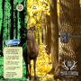 Pyle - UPHTCM48 , Gadgets and Handheld , Cameras - Videocameras , Waterproof Night Vision Wild Game Trail Scouting Camera with Invisible Flash, Video Recording & Picture Taking Ability