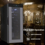 Pyle - AZPKTEWC120 , Kitchen & Cooking , Fridges & Coolers , Electric Wine Cooler - Wine Chilling Refrigerator Cellar (12-Bottle)