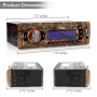 Pyle - PLMRDK17 , On the Road , Headunits - Stereo Receivers , Camo Stereo Radio Headunit Receiver, Aux (3.5mm) MP3 Input, USB Flash & SD Card Readers, Duck Hunting Camouflage Style, Single DIN
