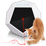 Pyle - SLCTLA40 , Misc , Smart Pet Laser Toy - Digital Cat Toy Laser Pointer