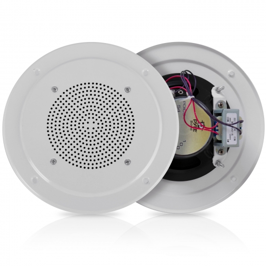 commercial speaker system