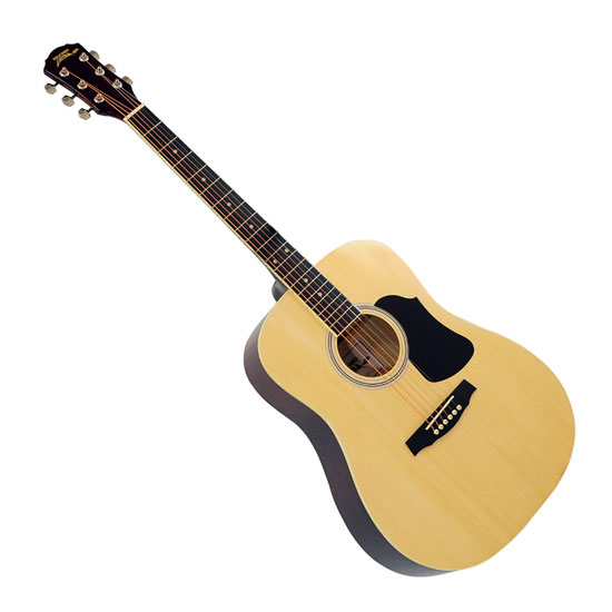 PylePro PGA20 Musical Instruments String & Wind Instruments