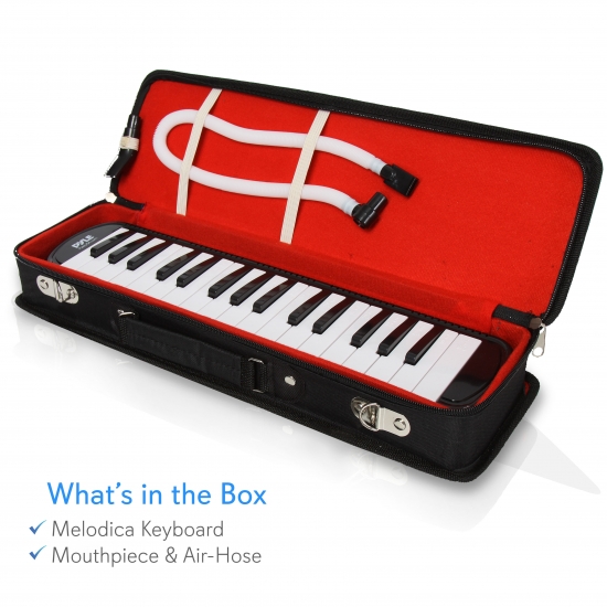 Pyle PMLD12BK Musical Instruments Harmonicas