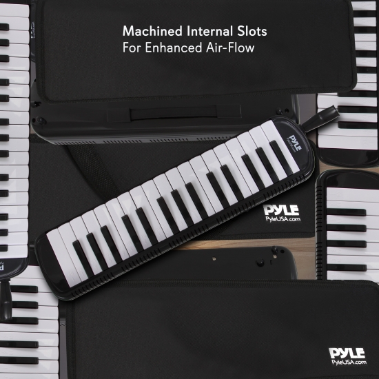 Pyle PMLD12BK Musical Instruments Harmonicas